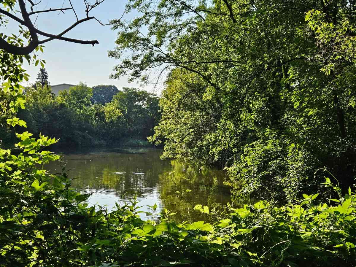 Auf der Heide - Kittsee