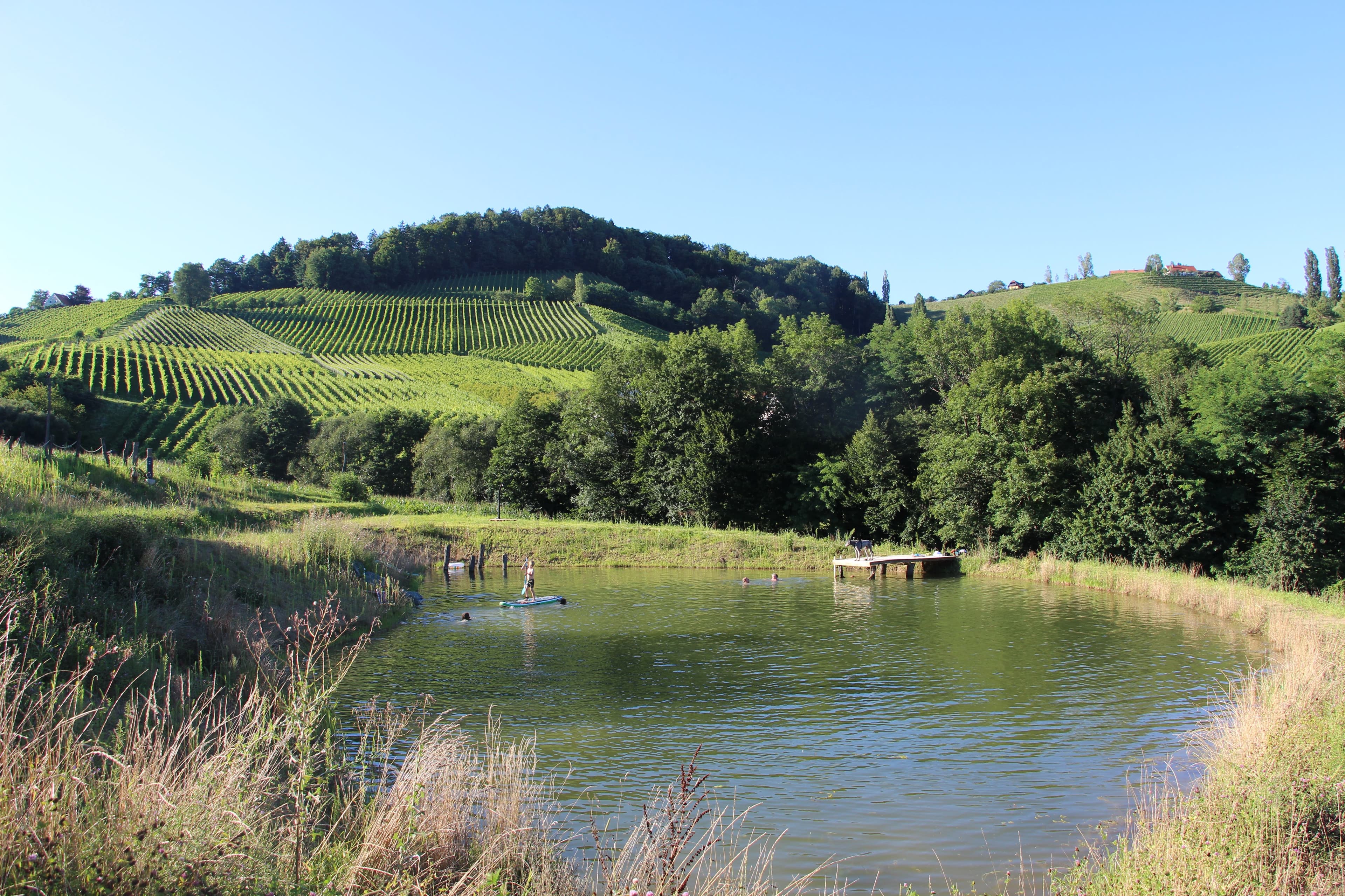Winez wild culture - Stellplatz